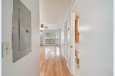 5100 Burchette Road #1804, Tampa, FL 33647 - Photo 11