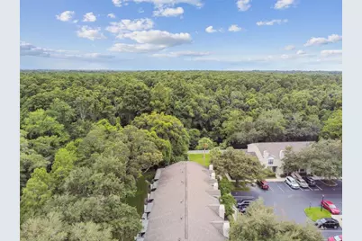 5100 Burchette Road #1804, Tampa, FL 33647 - Photo 65
