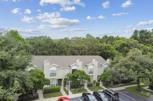 5100 Burchette Rd, Tampa, FL 33647 - Photo 75