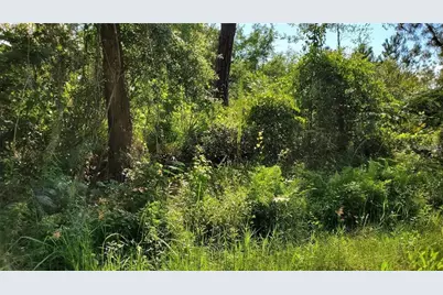 103 Bowfin Drive, Satsuma, FL 32189 - Photo 1