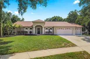 3809 Hanover Hill Dr, Valrico, FL 33596 - Photo 1