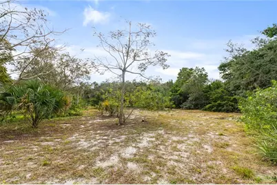 2373 Keystone Road, Tarpon Springs, FL 34688 - Photo 13
