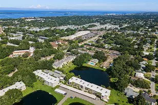 936 Virginia St, Dunedin, FL 34698 - Photo 13