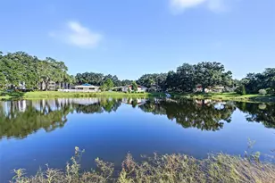 936 Virginia St, Dunedin, FL 34698 - Photo 55