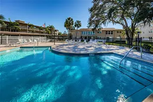 936 Virginia St, Dunedin, FL 34698 - Photo 73