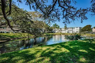 936 Virginia St, Dunedin, FL 34698 - Photo 77