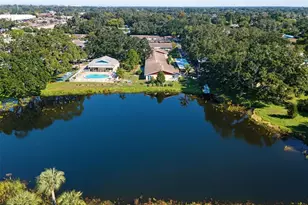936 Virginia St, Dunedin, FL 34698 - Photo 3