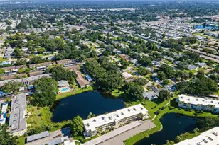 936 Virginia St, Dunedin, FL 34698 - Photo 15