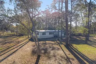 18024 Drayton St, Spring Hill, FL 34610 - Photo 37