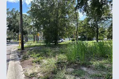 Ventnor Avenue, Tarpon Springs, FL 34689 - Photo 3