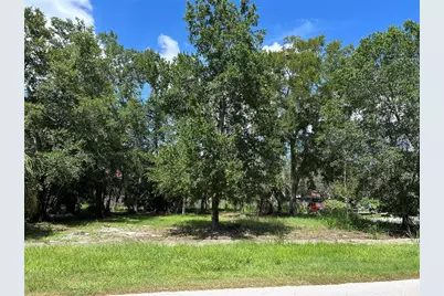 Ventnor Avenue, Tarpon Springs, FL 34689 - Photo 1