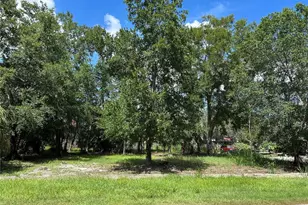 Ventnor Ave, Tarpon Springs, FL 34689 - Photo 1