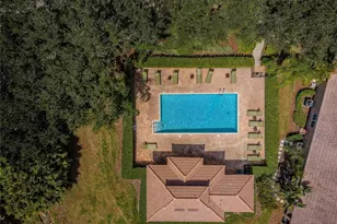 4008 Silk Oak Ln, Palm Harbor, FL 34685 - Photo 53
