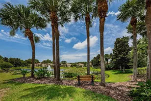4008 Silk Oak Ln, Palm Harbor, FL 34685 - Photo 57