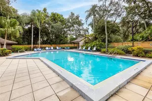 2925 Boxwood Ct, Palm Harbor, FL 34684 - Photo 29