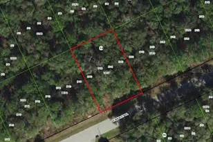 3669 E Baxley Pl, Inverness, FL 34453 - Photo 1