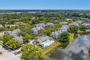 3300 Haviland Ct, Palm Harbor, FL 34684 - Photo 41