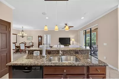 144 Silver Falls Drive, Apollo Beach, FL 33572 - Photo 29