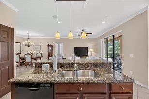 144 Silver Falls Dr, Apollo Beach, FL 33572 - Photo 29