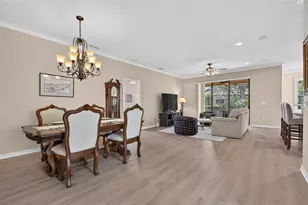 144 Silver Falls Dr, Apollo Beach, FL 33572 - Photo 17