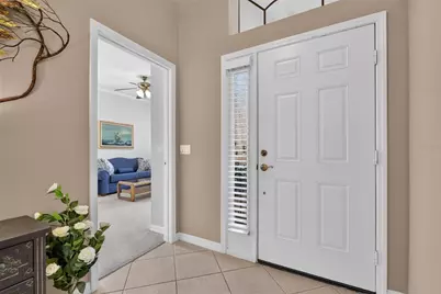 144 Silver Falls Drive, Apollo Beach, FL 33572 - Photo 45