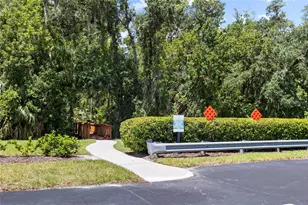 25500 Geddy Dr, Land O Lakes, FL 34639 - Photo 61