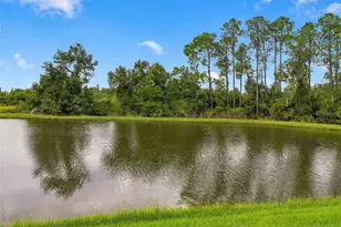 33655 Willow Point Ct, Wesley Chapel, FL 33545 - Photo 53