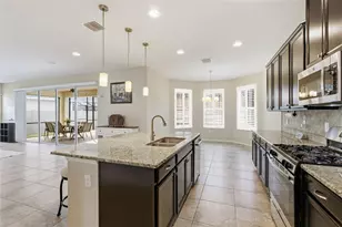 17515 Bright Wheat Dr, Lithia, FL 33547 - Photo 19