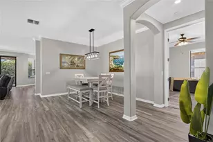 5804 Hidden Falls Ln, Apollo Beach, FL 33572 - Photo 23