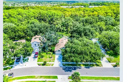 567 Deer Run N, Palm Harbor, FL 34684 - Photo 89