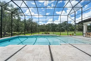 3111 John Moore Rd, Brandon, FL 33511 - Photo 43