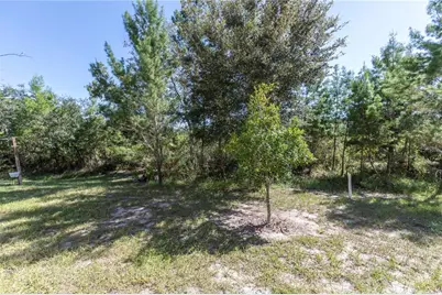 11646 Castine Street, New Port Richey, FL 34654 - Photo 43