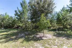 11646 Castine St, New Port Richey, FL 34654 - Photo 43