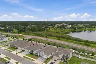 23182 Scaglione Dr, Lutz, FL 33549 - Photo 69