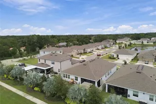 23182 Scaglione Dr, Lutz, FL 33549 - Photo 85