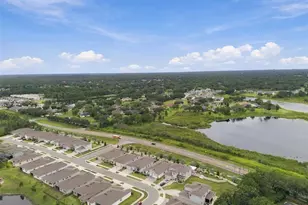 23182 Scaglione Dr, Lutz, FL 33549 - Photo 75