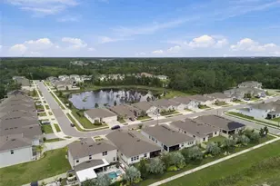 23182 Scaglione Dr, Lutz, FL 33549 - Photo 77