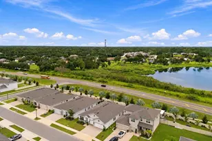 23182 Scaglione Dr, Lutz, FL 33549 - Photo 87