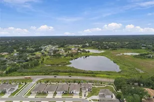 23182 Scaglione Dr, Lutz, FL 33549 - Photo 71