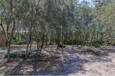 10898 NE 220th Street, Fort Mc Coy, FL 32134 - Photo 41