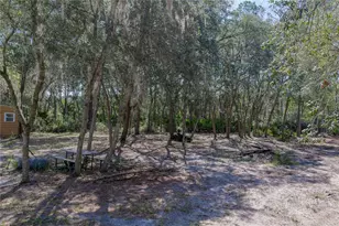 10898 NE 220th St, Fort Mc Coy, FL 32134 - Photo 41