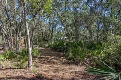 10898 NE 220th Street, Fort Mc Coy, FL 32134 - Photo 69
