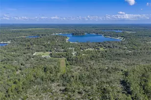 10898 NE 220th St, Fort Mc Coy, FL 32134 - Photo 81