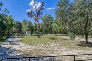 10898 NE 220th St, Fort Mc Coy, FL 32134 - Photo 47