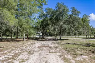 10898 NE 220th St, Fort Mc Coy, FL 32134 - Photo 75