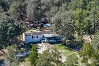 10898 NE 220th Street, Fort Mc Coy, FL 32134 - Photo 87