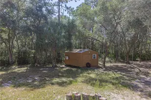 10898 NE 220th St, Fort Mc Coy, FL 32134 - Photo 63