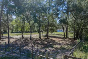 10898 NE 220th St, Fort Mc Coy, FL 32134 - Photo 49