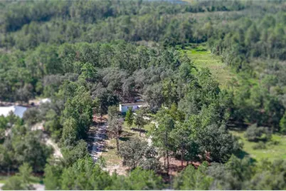 10898 NE 220th Street, Fort Mc Coy, FL 32134 - Photo 85