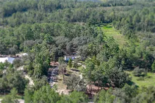 10898 NE 220th St, Fort Mc Coy, FL 32134 - Photo 85